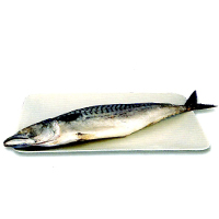 日本鹹魚(大)