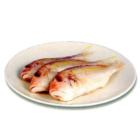 金線魚  |水產類