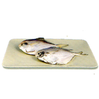 白鯧魚  |水產類