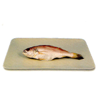 白口魚產品圖
