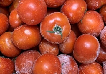 番茄整顆  |蔬菜類