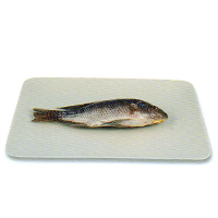 吳郭魚  |水產類